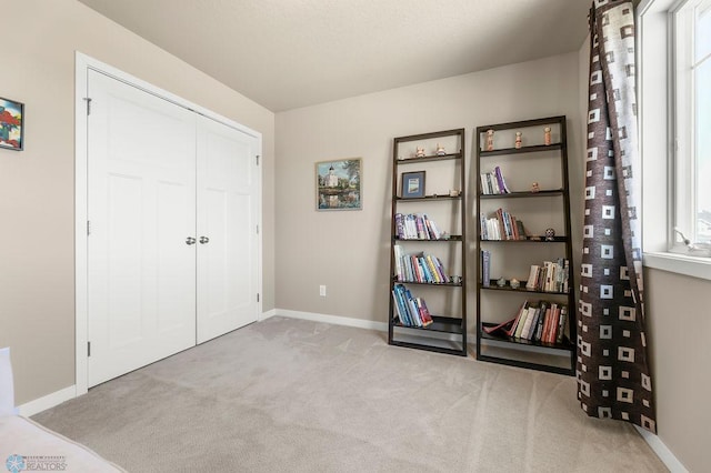 interior space with carpet, baseboards, and a closet