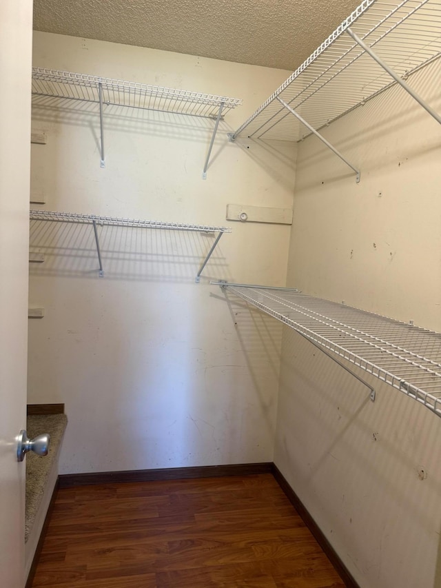 walk in closet featuring wood finished floors