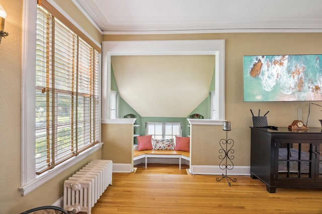 4904 11th Ave S, Minneapolis, MN 55417 - living area with radiator heating unit, wood finished floors, crown molding, and lofted ceiling