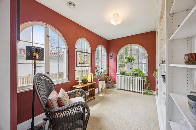 4904 11th Ave S, Minneapolis, MN 55417 - sitting room with carpet and baseboards