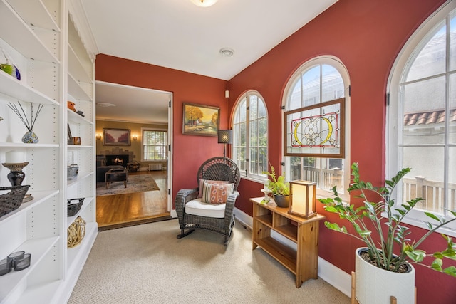 4904 11th Ave S, Minneapolis, MN 55417 - living area featuring healthy amount of natural light and carpet flooring