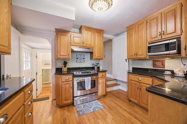 4904 11th Ave S, Minneapolis, MN 55417 - kitchen featuring appliances with stainless steel finishes, under cabinet range hood, light wood-type flooring, dark stone countertops, and brown cabinetry
