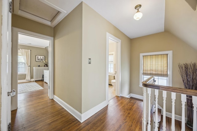 4904 11th Ave S, Minneapolis, MN 55417 - hall featuring radiator heating unit, dark wood-type flooring, an upstairs landing, attic access, and vaulted ceiling