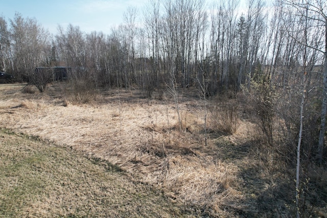 view of local wilderness