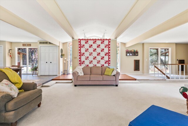 1206 Pinecrest Ln, New Richmond, WI 54017 - living area with carpet and vaulted ceiling