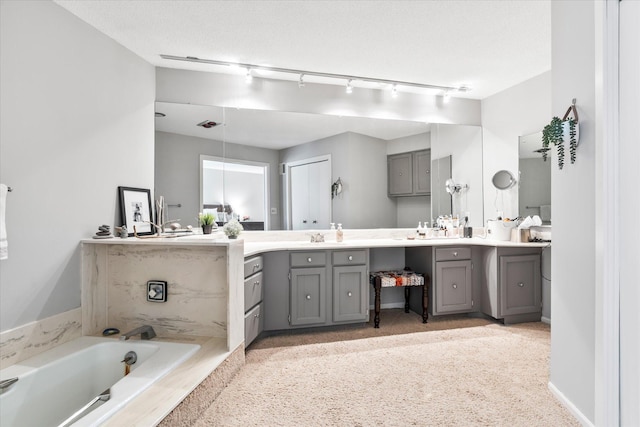 1206 Pinecrest Ln, New Richmond, WI 54017 - full bathroom featuring double vanity, a garden tub, and track lighting