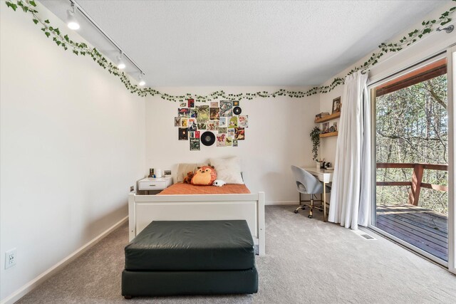 1206 Pinecrest Ln, New Richmond, WI 54017 - carpeted bedroom featuring a textured ceiling, baseboards, track lighting, an office area, and access to exterior
