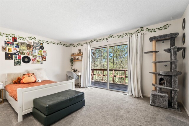 1206 Pinecrest Ln, New Richmond, WI 54017 - carpeted bedroom with access to exterior and a textured ceiling