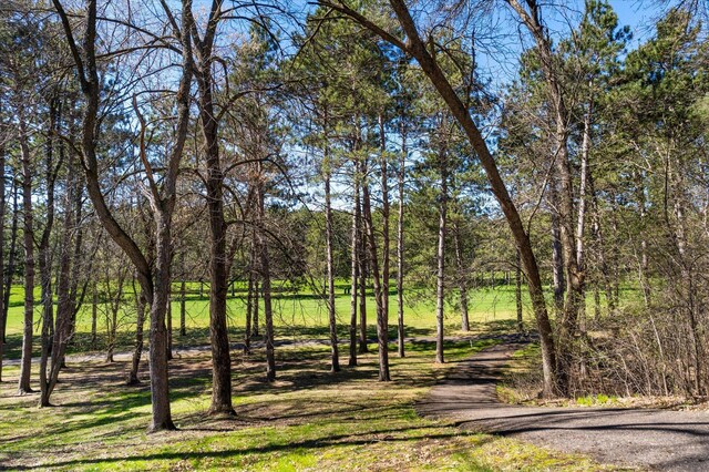 1206 Pinecrest Ln, New Richmond, WI 54017 - view of undeveloped land