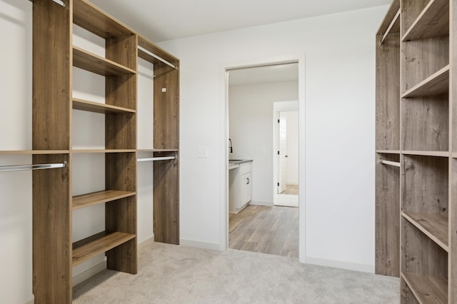 21959 Edison Ct NW, East Bethel, MN 55011 - walk in closet featuring carpet flooring