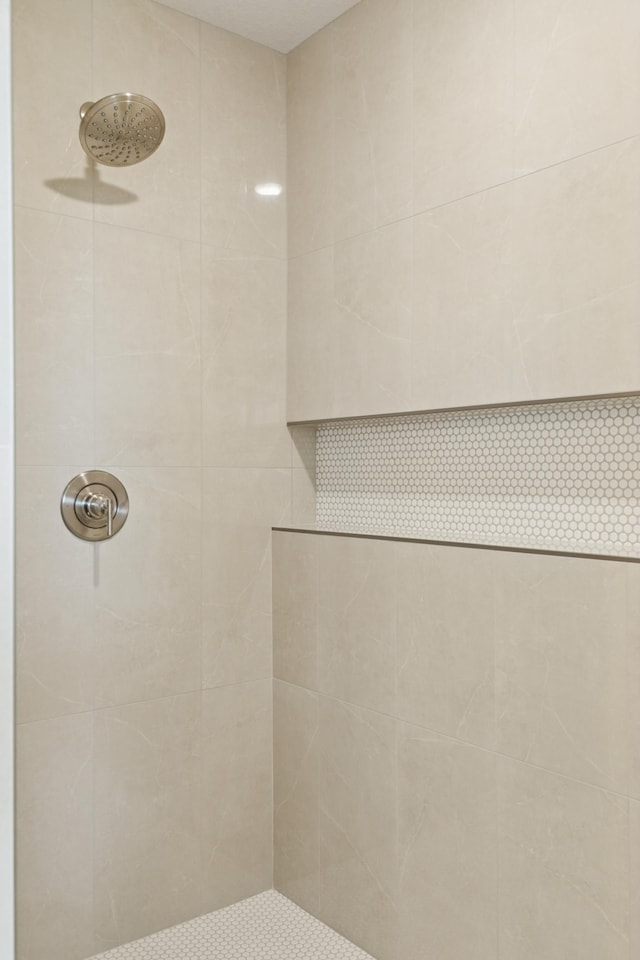 21959 Edison Ct NW, East Bethel, MN 55011 - full bath with tiled shower