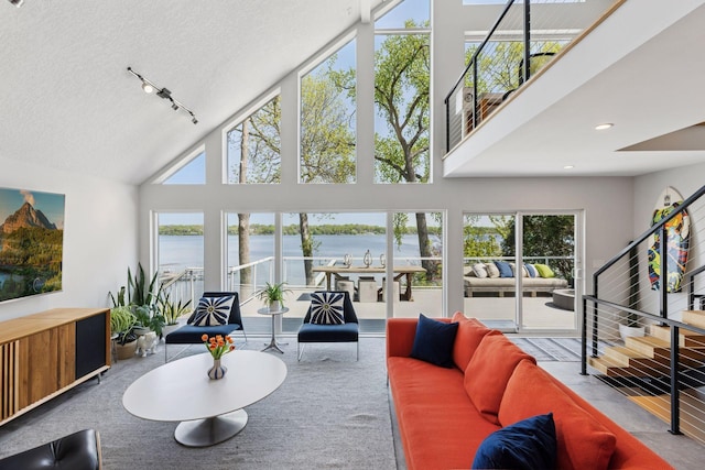 176 Peninsula Rd, Medicine Lake, MN 55441 - living area with a water view, high vaulted ceiling, track lighting, a textured ceiling, and carpet