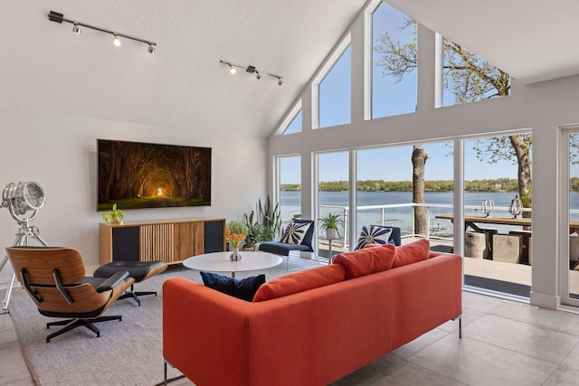 176 Peninsula Rd, Medicine Lake, MN 55441 - living room featuring rail lighting and high vaulted ceiling