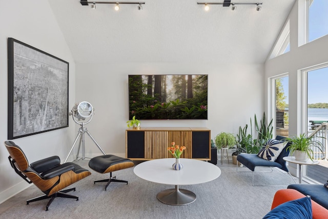 176 Peninsula Rd, Medicine Lake, MN 55441 - sitting room with rail lighting, high vaulted ceiling, and baseboards