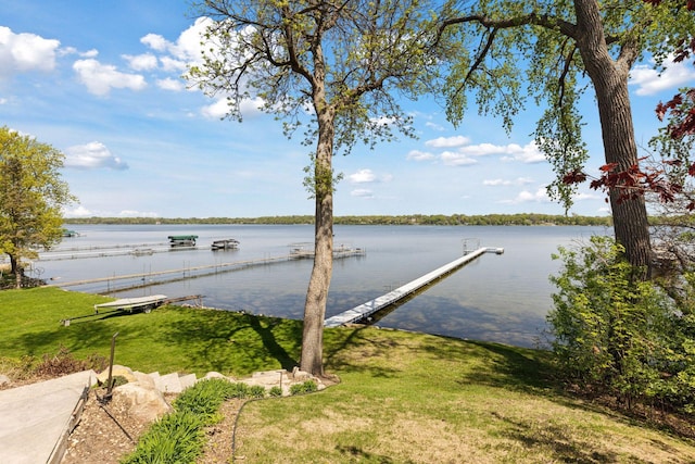 176 Peninsula Rd, Medicine Lake, MN 55441 - dock with a water view