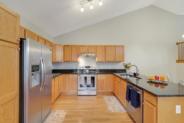 kitchen with a sink, appliances with stainless steel finishes, under cabinet range hood, light wood-type flooring, and a peninsula