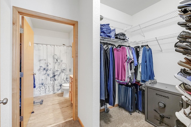 view of spacious closet