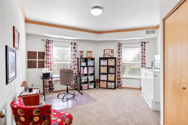 office area featuring carpet, healthy amount of natural light, ornamental molding, baseboards, and a textured ceiling