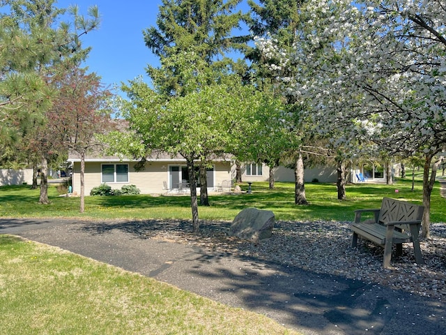 view of property hidden behind natural elements featuring a front yard