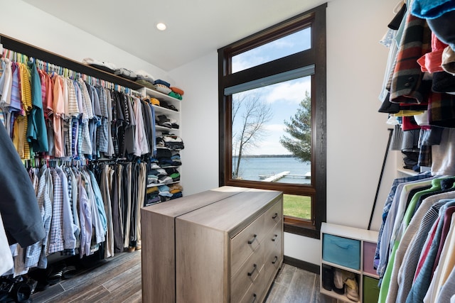 walk in closet featuring wood finished floors