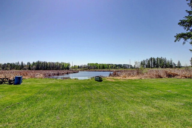 32290 US-71, Menahga, MN 56464 - view of green lawn with a water view
