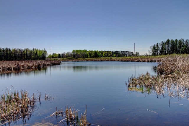 32290 US-71, Menahga, MN 56464 - water view