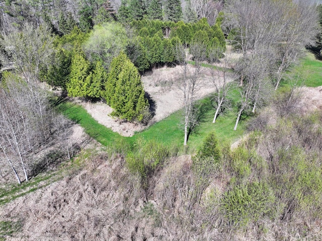 32290 US-71, Menahga, MN 56464 - bird's eye view