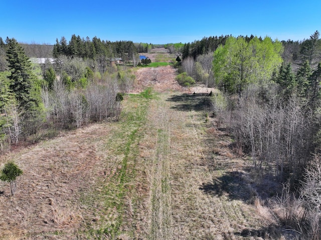 32290 US-71, Menahga, MN 56464 - view of road featuring a wooded view