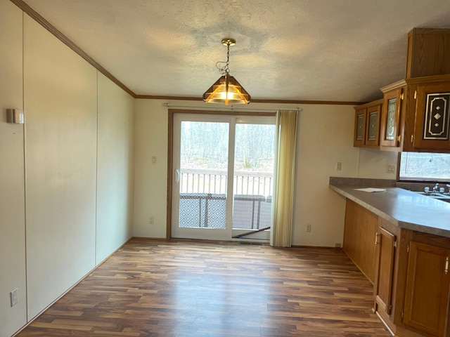 kitchen featuring crown molding, brown cabinets, a textured ceiling, dark wood-type flooring, and glass insert cabinets