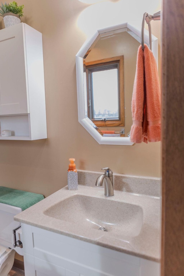 19447 County Road 1, Morris, MN 56267 - bathroom with vanity