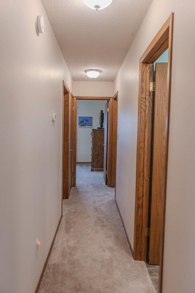 19447 County Road 1, Morris, MN 56267 - hallway featuring a textured ceiling and light carpet