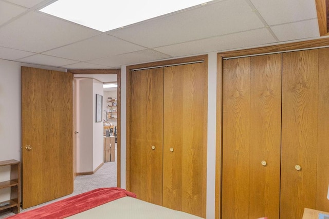 19447 County Road 1, Morris, MN 56267 - unfurnished bedroom with a drop ceiling, multiple closets, and carpet
