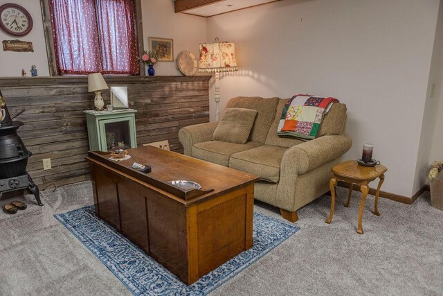 19447 County Road 1, Morris, MN 56267 - living room featuring a wood stove, carpet, and baseboards