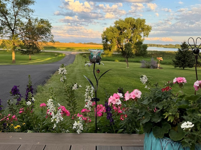 19447 County Road 1, Morris, MN 56267 - view of property's community with a yard