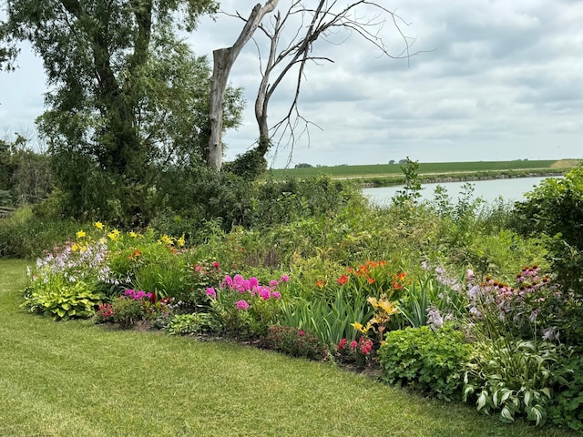 19447 County Road 1, Morris, MN 56267 - view of yard with a water view