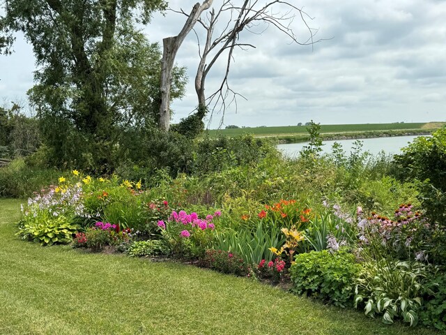 19447 County Road 1, Morris, MN 56267 - photo 46