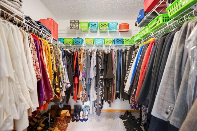 spacious closet featuring carpet floors