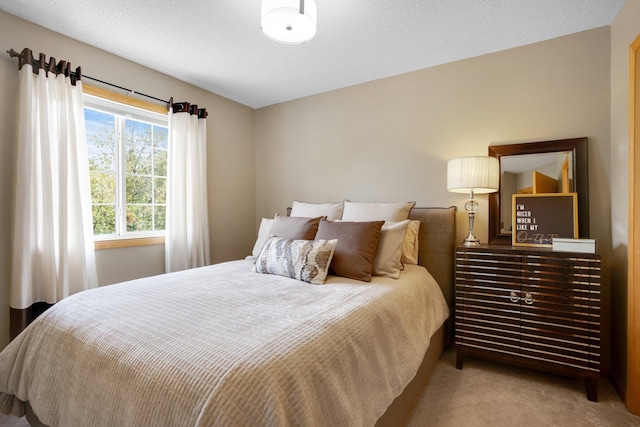 bedroom featuring carpet