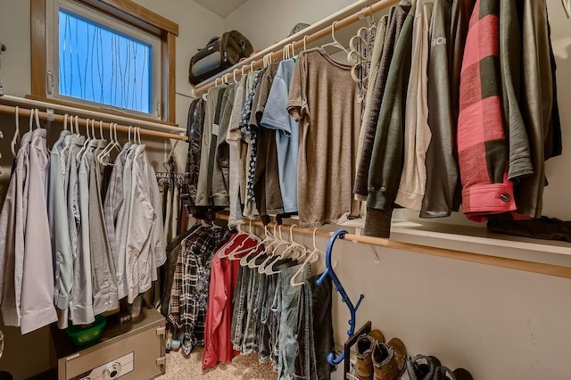 334 143rd Ave NW, Andover, MN 55304 - view of walk in closet