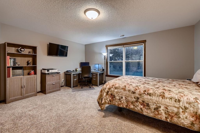 334 143rd Ave NW, Andover, MN 55304 - bedroom featuring light carpet, a textured ceiling, and an office area