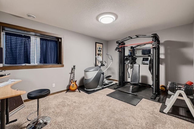 334 143rd Ave NW, Andover, MN 55304 - exercise area with a textured ceiling, baseboards, and carpet