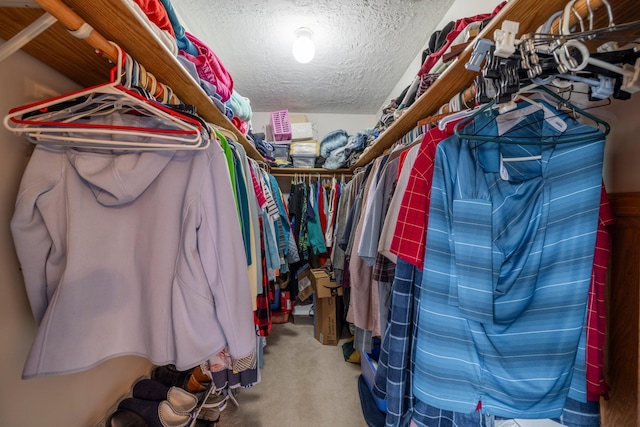 spacious closet featuring carpet flooring