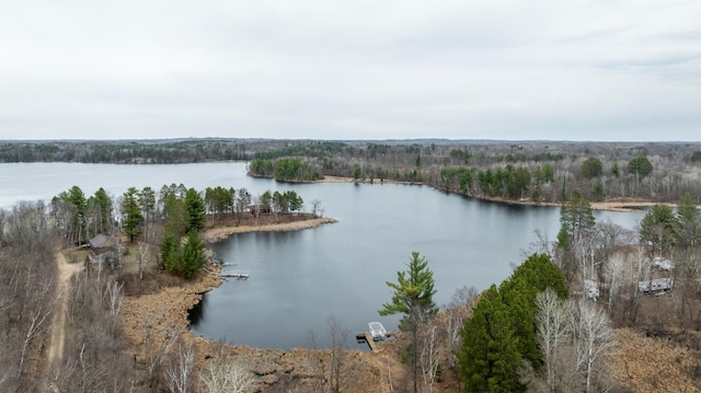 water view with a view of trees
