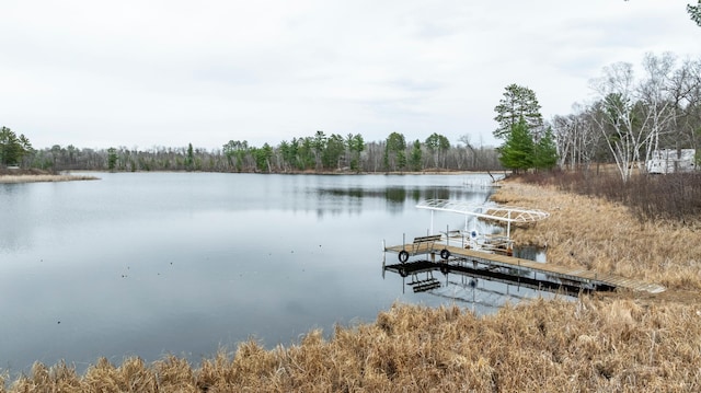 view of dock featuring a water view and a forest view