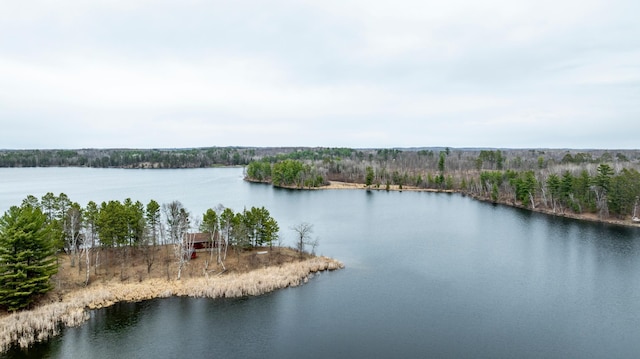 property view of water