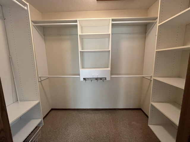 walk in closet with carpet flooring