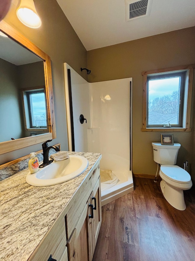1008 Ruby St NW, Alexandria, MN 56308 - bathroom with wood finished floors, a stall shower, toilet, and vanity