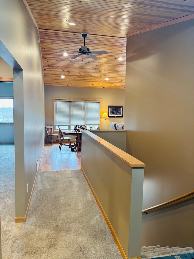 1008 Ruby St NW, Alexandria, MN 56308 - hall with wood ceiling, carpet flooring, recessed lighting, baseboards, and healthy amount of natural light