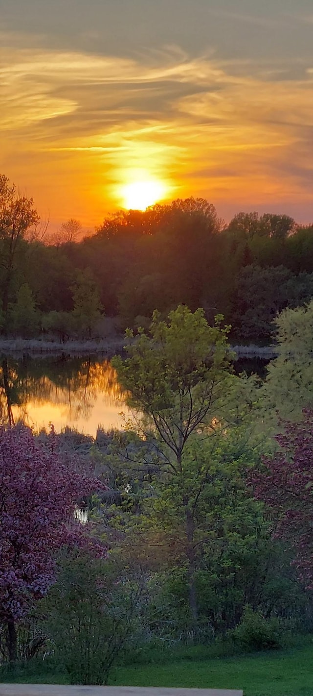 1008 Ruby St NW, Alexandria, MN 56308 - view of wooded area featuring a water view