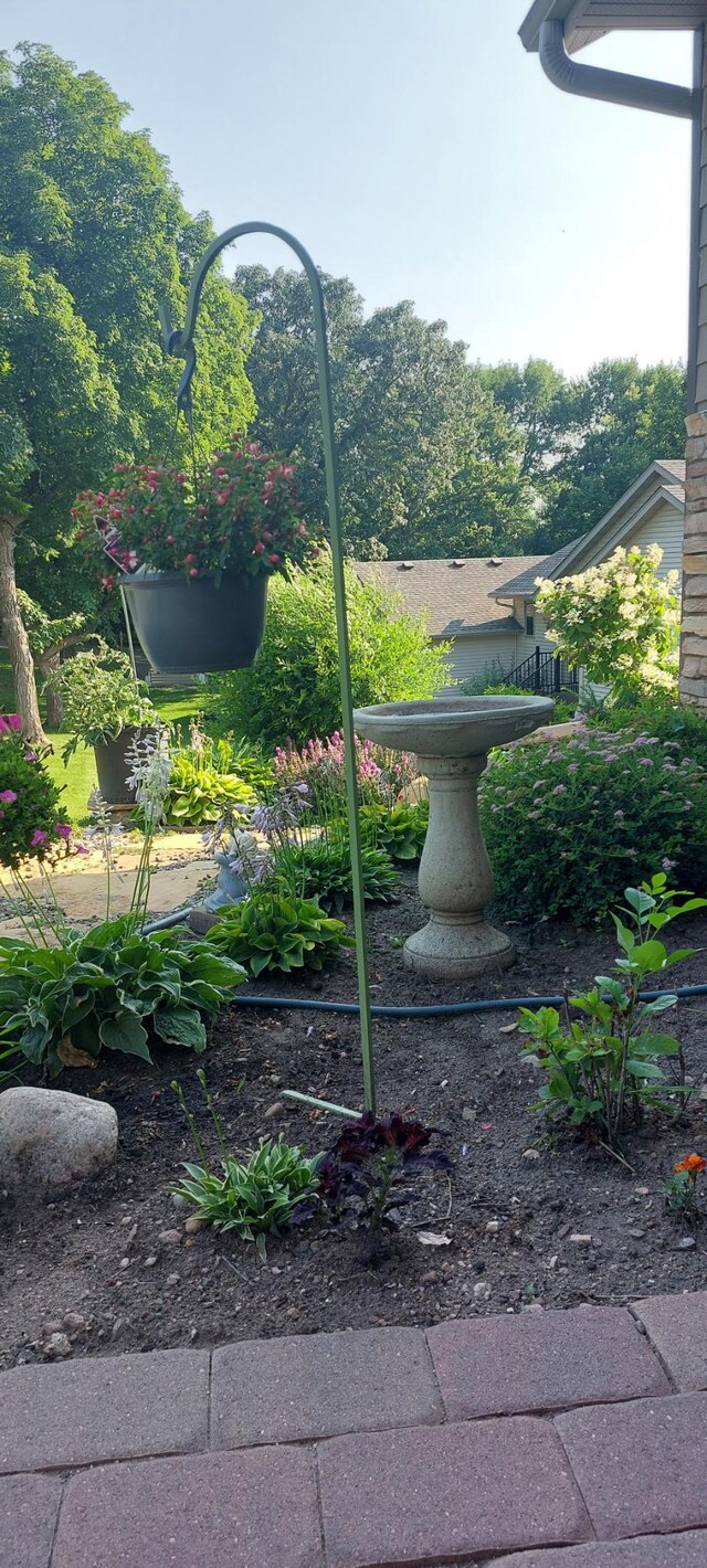 1008 Ruby St NW, Alexandria, MN 56308 - view of yard